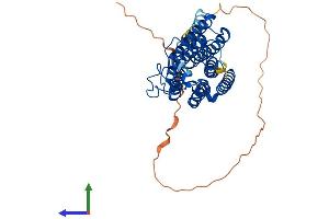 Protein Structure (PS) image for Adiponectin Receptor 2 (ADIPOR2) (AA 1-386) protein (His tag) (ABIN7552034)