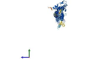 AlphaFold protein structure predicition of Human Recombinant TTYH1 Protein, UniprotID Q9H313