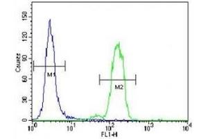 Bad antibody flow cytometric analysis of HeLa cells (right histogram) compared to a negative control (left histogram). (BAD antibody  (AA 92-127))