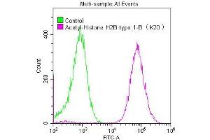 Flow Cytometry (FACS) image for anti-Histone Cluster 1, H2bb (HIST1H2BB) (acLys20) antibody (ABIN7127266)