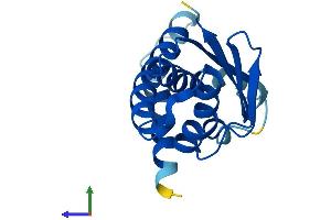 Protein Structure (PS) image for Trafficking Protein Particle Complex 6B (TRAPPC6B) (AA 1-158) protein (His tag) (ABIN7544704)