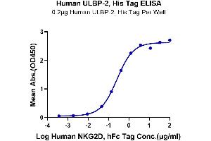 ELISA image for UL16 Binding Protein 2 (ULBP2) (AA 26-217) protein (His-Avi Tag) (ABIN7275815)
