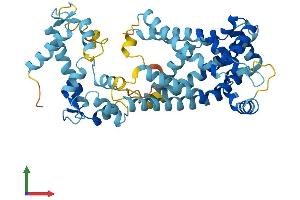 AlphaFold protein structure predicition of Mouse Recombinant Slc25a23 Protein, UniprotID Q6GQS1