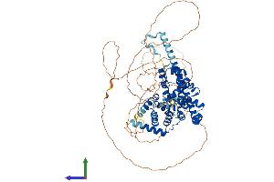 Protein Structure (PS) image for TBC1 Domain Family, Member 14 (TBC1D14) (AA 1-693) protein (His tag) (ABIN7544323)