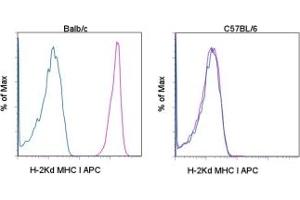 Image no. 1 for anti-MHC Class I H-2Kd antibody (APC) (ABIN476368) (MHC Class I H-2Kd antibody  (APC))