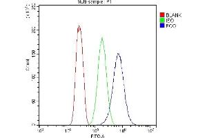 Flow Cytometry analysis of SiHa cells using anti-FGG antibody (ABIN4886589). (FGG antibody  (N-Term))