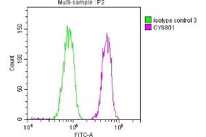 Flow Cytometry (FACS) image for anti-Poly A Binding Protein Nuclear 1 (PABPN1) antibody (ABIN7127661)