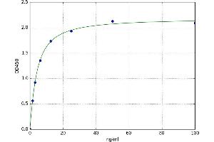 A typical standard curve