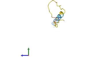 Protein Structure (PS) image for Progressive Rod-Cone Degeneration (PRCD) (AA 1-53) protein (Fc Tag) (ABIN7556853)