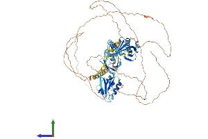 Protein Structure (PS) image for Amyloid beta (A4) Precursor Protein-Binding, Family A, Member 2 (APBA2) (AA 1-749) protein (His tag) (ABIN7552309)