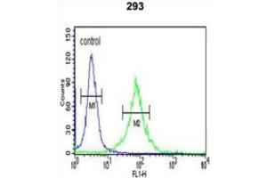 Flow Cytometry (FACS) image for anti-APC Membrane Recruitment Protein 1 (AMER1) antibody (ABIN3002682) (WTX antibody)