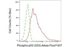 Flow cytometric analysis of Phospho-p53 (S33) expression in HeLa cells using Phospho-p53 (S33) antibody ( (ABIN7800680), 1:2,000). (Recombinant p53 antibody  (pSer33))