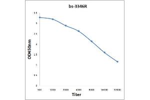 Antigen: 0. (PRAS40 antibody  (pThr246))