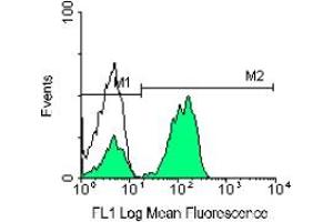 Image no. 1 for anti-CD3 epsilon (CD3E) antibody (PE) (ABIN135471) (CD3 epsilon antibody  (PE))