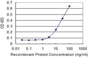 Detection limit for recombinant GST tagged MAPK13 is 1 ng/ml as a capture antibody. (MAPK13 antibody  (AA 251-365))
