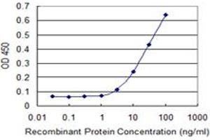 Detection limit for recombinant GST tagged MAPK13 is 1 ng/ml as a capture antibody. (MAPK13 antibody  (AA 251-365))