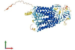 AlphaFold protein structure predicition of Human Recombinant SLCO2A1 Protein, UniprotID Q92959