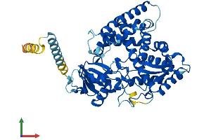 AlphaFold protein structure predicition of Mouse Recombinant Cyp51a1 Protein, UniprotID Q8K0C4