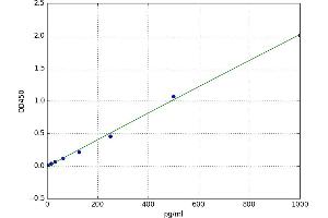 A typical standard curve (IFNE ELISA Kit)