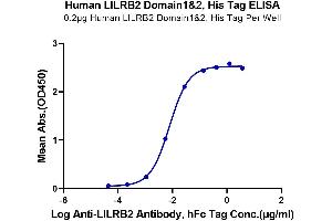 Immobilized Human LILRB2 Domain1&2, His Tag at 2 μg/mL (100 μL/Well) on the plate. (LILRB2 Protein (AA 22-229) (His tag))