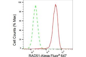 Flow cytometric analysis of RAD51 expression in HAP-1 cells using RAD51 antibody (ABIN7798366), 1:2,000). (Recombinant RAD51 antibody)