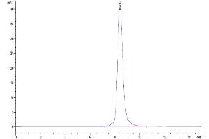 Size-exclusion chromatography-High Pressure Liquid Chromatography (SEC-HPLC) image for Interleukin 13 Receptor, alpha 1 (IL13RA1) (AA 25-341) protein (His tag) (ABIN7275010)
