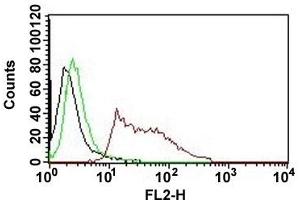 Flow cytometric analysis of HeLa cell with Human nuclei monoclonal antibody, clone 235-1 (PE)  (red). (Nuclei antibody (PE))