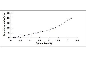 Typical standard curve (BLVRB ELISA Kit)