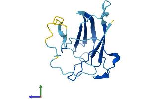 AlphaFold protein structure predicition of Human Recombinant MPTX1 Protein, UniprotID A8MV57 (Mptx Protein (AA 1-137) (His tag))