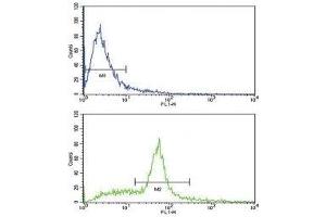 Flow cytometric analysis of WiDr cells using SCF antibody (green) (KIT Ligand antibody  (AA 244-273))