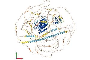 Protein Structure (PS) image for Bromodomain Containing 4 (BRD4) (AA 1-1400) protein (His tag) (ABIN7565068)