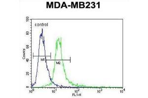 Flow Cytometry (FACS) image for anti-Ankyrin Repeat Domain 13C (ANKRD13C) antibody (ABIN3004051) (ANKRD13C antibody)