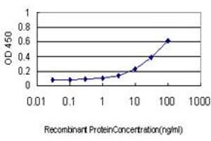 Detection limit for recombinant GST tagged PBP is approximately 0. (PEBP1 antibody  (AA 1-187))