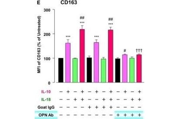 CD163 anticorps  (AA 1001-1121) (FITC)