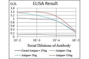 Black line: Control Antigen (100 ng), Purple line: Antigen(10 ng), Blue line: Antigen (50 ng), Red line: Antigen (100 ng), (MAP2K5 antibody  (AA 63-180))