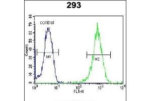 Flow Cytometry (FACS) image for anti-La Ribonucleoprotein Domain Family, Member 6 (LARP6) (AA 7-35), (N-Term) antibody (ABIN654784)