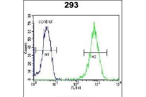 LARP6 Antibody (N-term) (ABIN654784 and ABIN2844464) flow cytometric analysis of 293 cells (right histogram) compared to a negative control cell (left histogram). (LARP6 antibody  (N-Term))