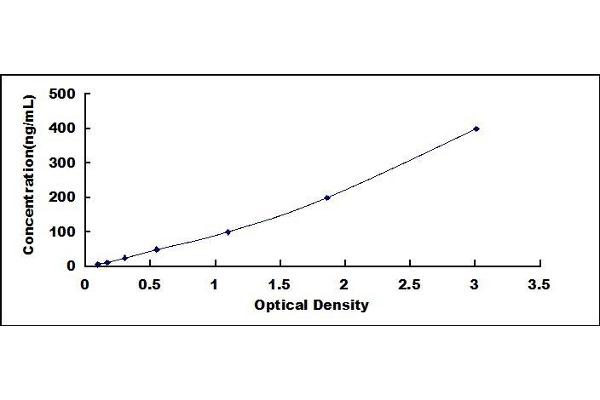 Complement Factor B ELISA Kit