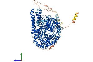 Protein Structure (PS) image for Transferrin Receptor (p90, CD71) (TFRC) (AA 1-763) protein (His tag) (ABIN7563962)