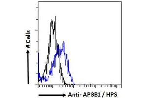 ABIN6391367 Flow cytometric analysis of paraformaldehyde fixed HepG2 cells (blue line), permeabilized with 0. (AP3B1 antibody  (N-Term))