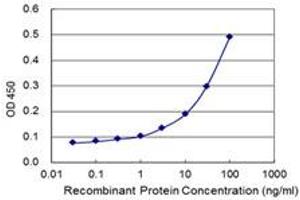 Detection limit for recombinant GST tagged SLFN5 is 1 ng/ml as a capture antibody. (SLFN5 antibody  (AA 1-338))