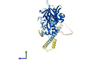AlphaFold protein structure predicition of Human Recombinant VPS36 Protein, UniprotID Q86VN1 (VPS36 Protein (AA 1-386) (His tag))