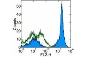 Image no. 1 for anti-CD19 Molecule (CD19) antibody (ABIN476669) (CD19 antibody)