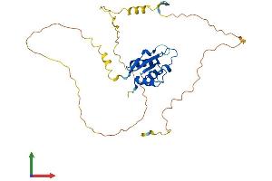 AlphaFold protein structure predicition of Mouse Recombinant Irf1 Protein, UniprotID P15314