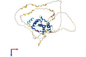 AlphaFold protein structure predicition of Human Recombinant DUX4L4 Protein, UniprotID P0CJ87