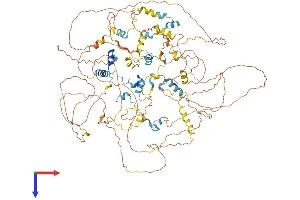 AlphaFold protein structure predicition of Human Recombinant EIF4ENIF1 Protein, UniprotID Q9NRA8 (EIF4ENIF1 Protein (AA 1-985) (His tag))