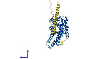 AlphaFold protein structure predicition of Human Recombinant AGTR2 Protein, UniprotID P50052 (Angiotensin II Type 2 Receptor Protein (AA 1-363) (His tag))