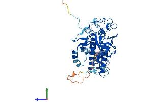 AlphaFold protein structure predicition of Mouse Recombinant Suv39h1 Protein, UniprotID O54864 (SUV39H1 Protein (AA 1-412) (His tag))