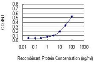 Detection limit for recombinant GST tagged CUL3 is 1 ng/ml as a capture antibody. (Cullin 3 antibody  (AA 301-400))