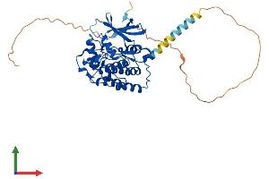 Protein Structure (PS) image for Casein Kinase 1, delta (CSNK1D) (AA 1-415) protein (His tag) (ABIN7565015)